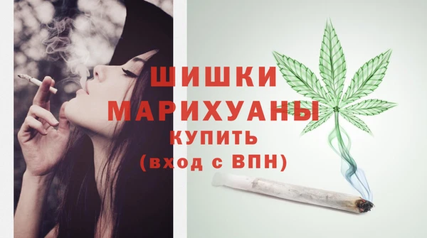 дживик Володарск